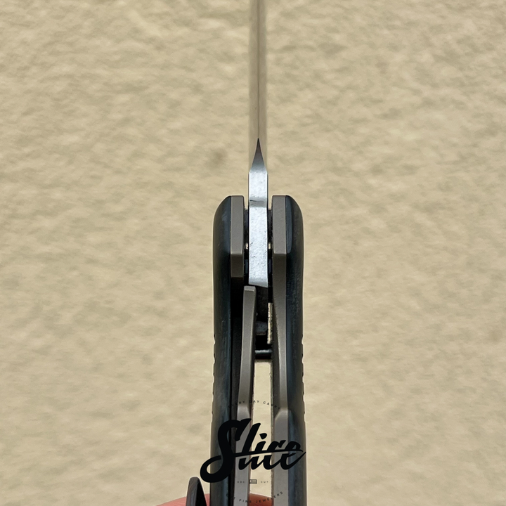 David Mosier Medium Scourge