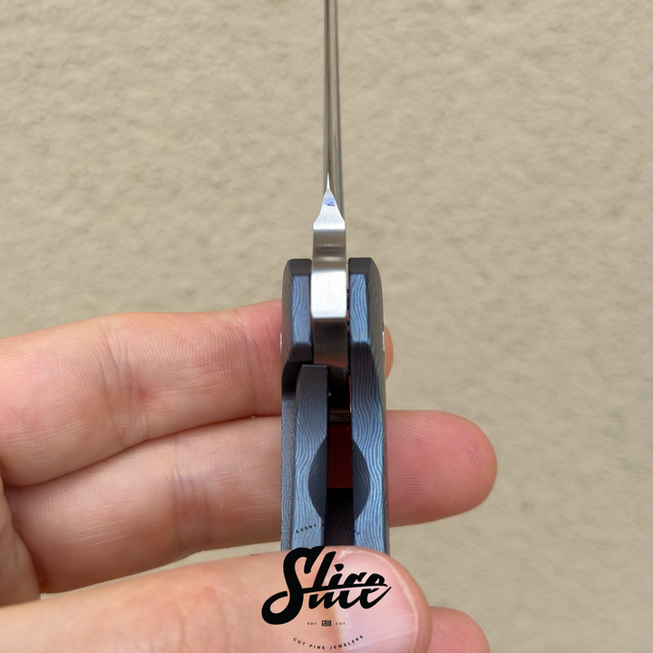 Tashi Bharucha full dress Perv