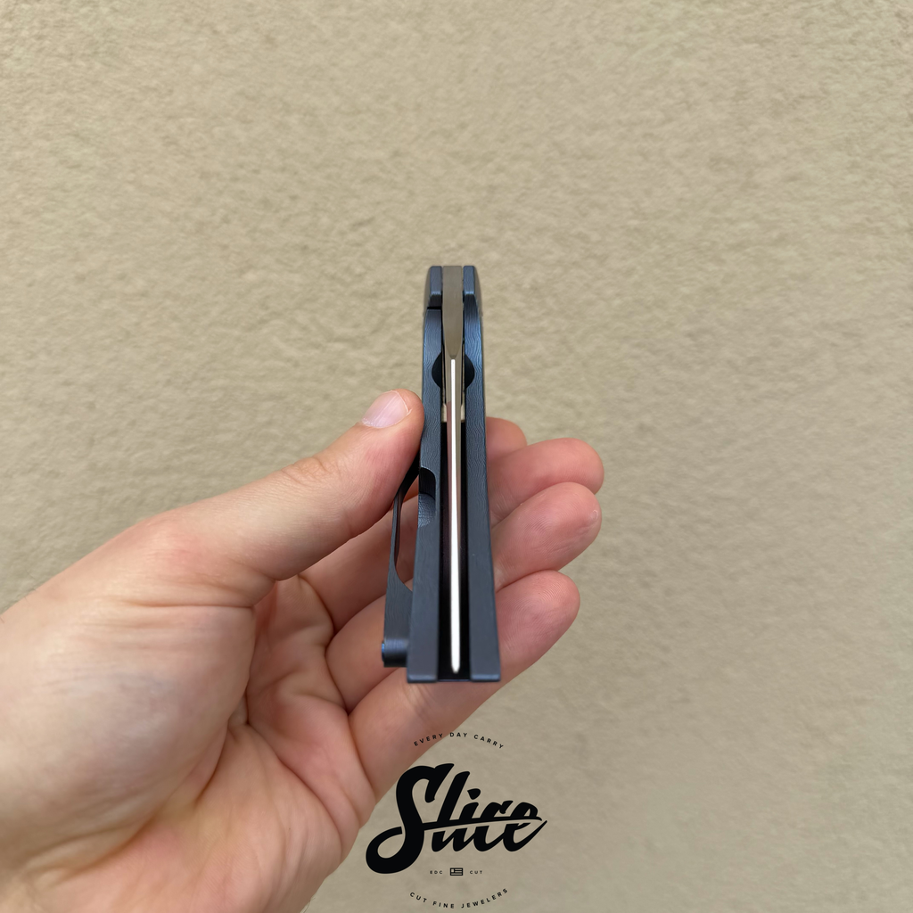 Tashi Bharucha full dress Perv