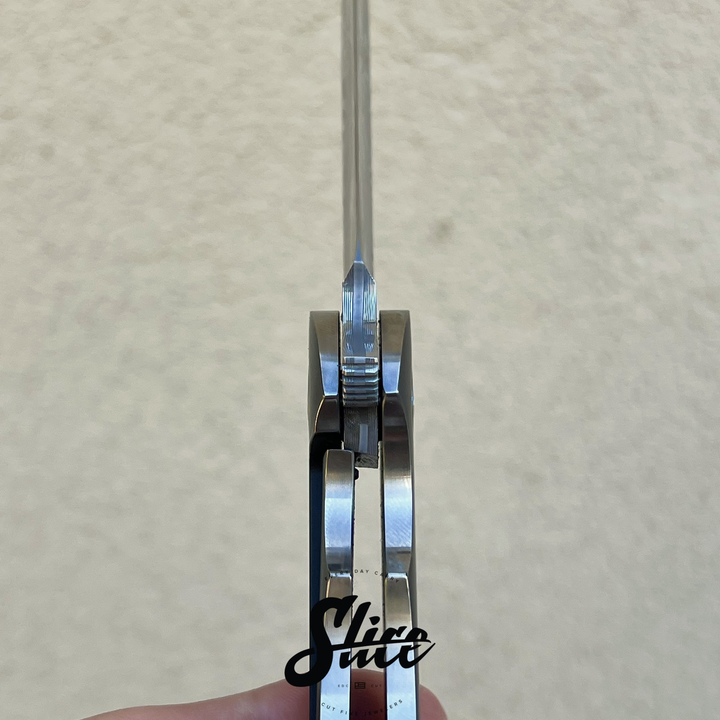 Robert Carter and Frank Fischer Warbird collab