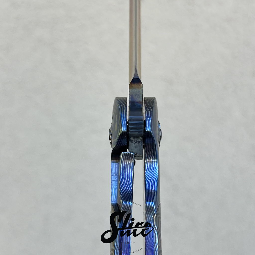 Robert Carter and Frank Fischer Warbird collab