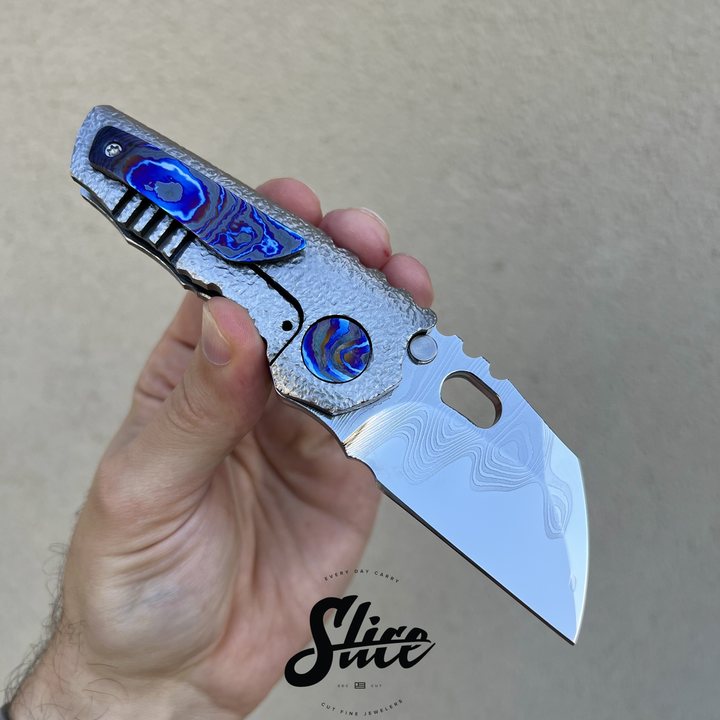 Dalibor Bergam Pollux sole authorship