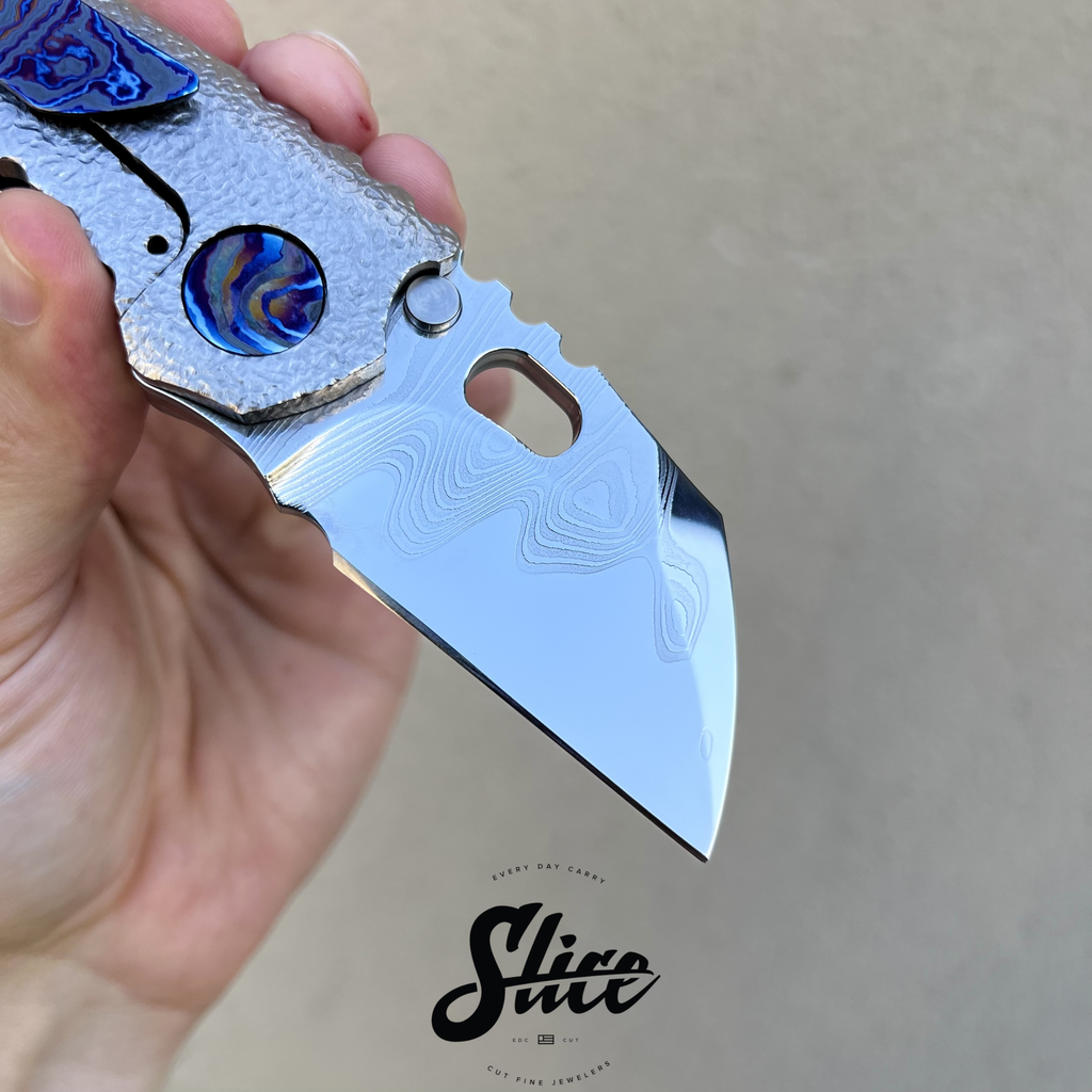 Dalibor Bergam Pollux sole authorship