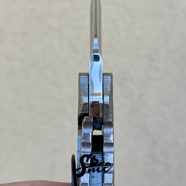 Dalibor Bergam Pollux sole authorship